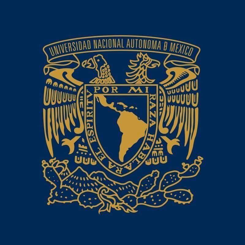 UNAM CYOU Logo